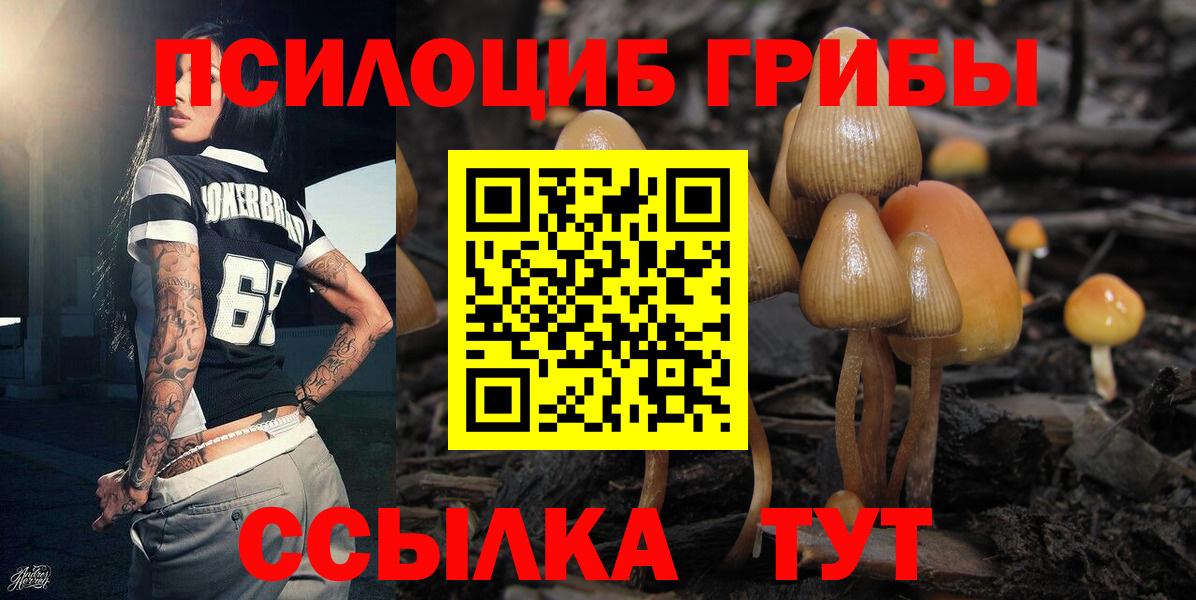 Псилоцибиновые грибы ЛСД Нижний Новгород